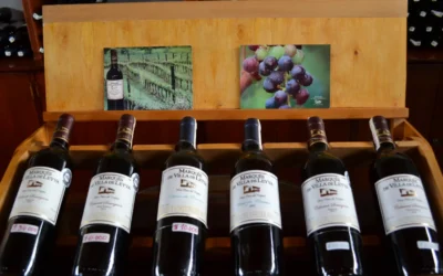 Lorem a tellus pellentesque tristique